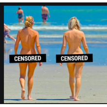 Nudebeachparty